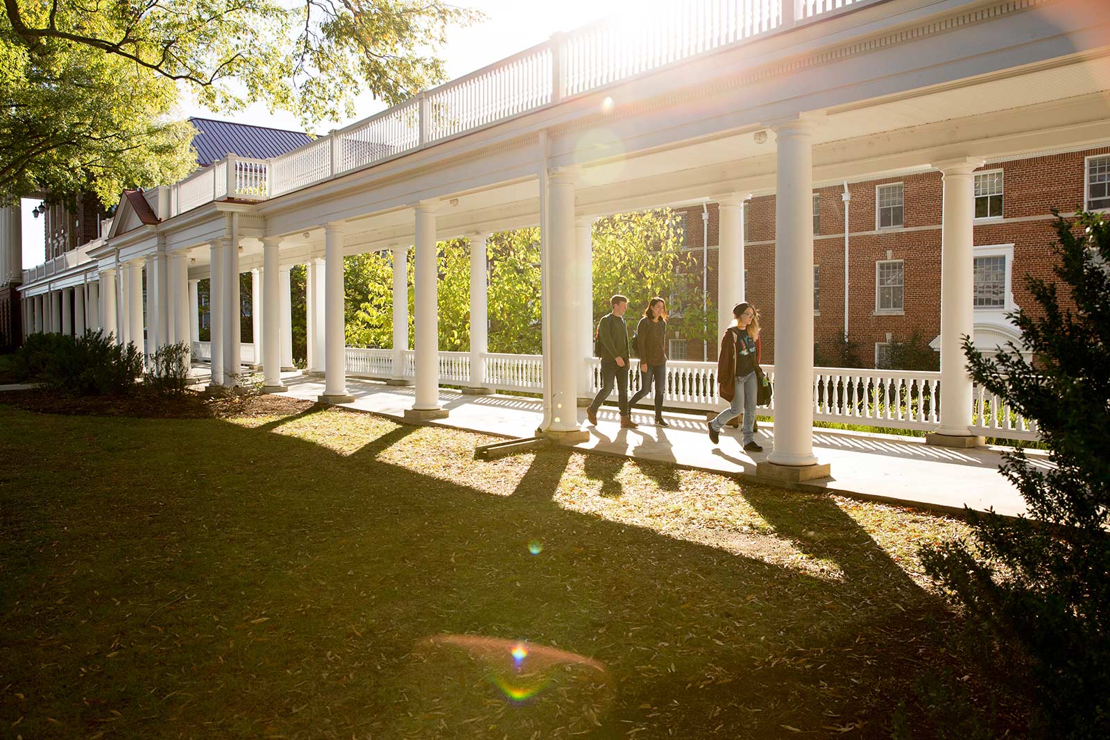When the light is just right, walking to class is like walking through nearly 200 years of history. The Colonnades hold a special place on campus—the traditional spot for iconic graduation photos and, shhhhhh, the start of CHI walks.