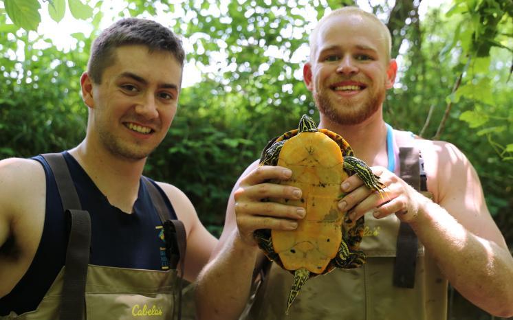 Two students holding a turtle while sampling for crayfish.
