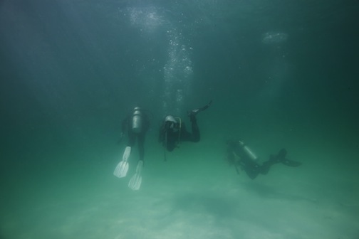 People in scuba gear underwater