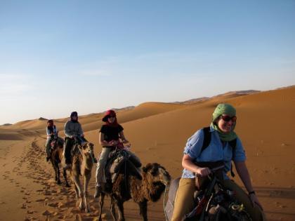 Students riding camels in Morocco