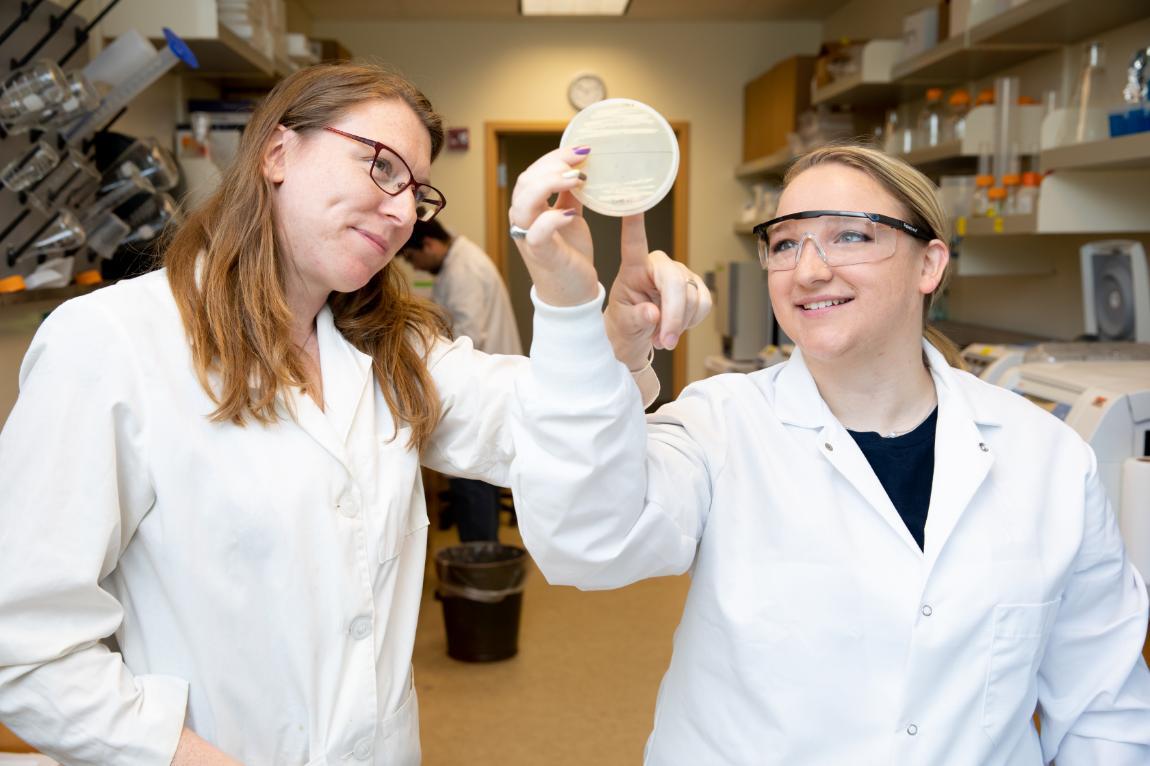 Longwood biology major Caitlin Harris ’20 is studying DNA repair proteins and cancer mutations while doing intensive research with Dr. Erin Shanle (left).