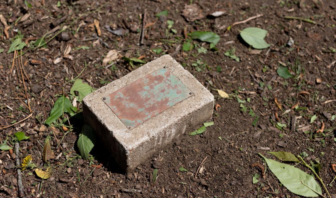 Plaque found buried under 30 years of mulch and dirt.