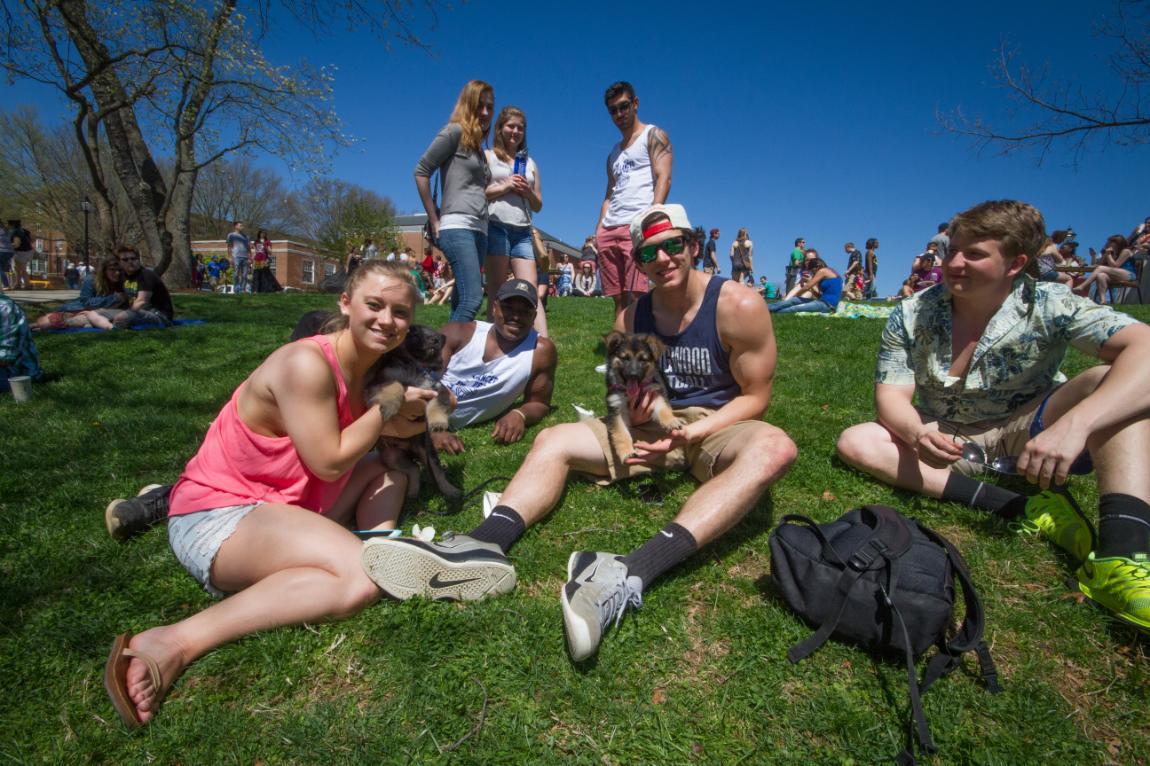 Students sit on the lawn playing with two puppies at Longwood's Spring Weekend