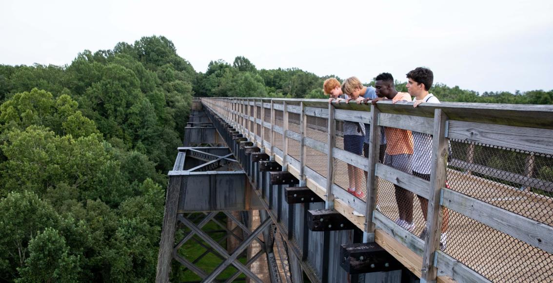 People looking over the side of High Bridge