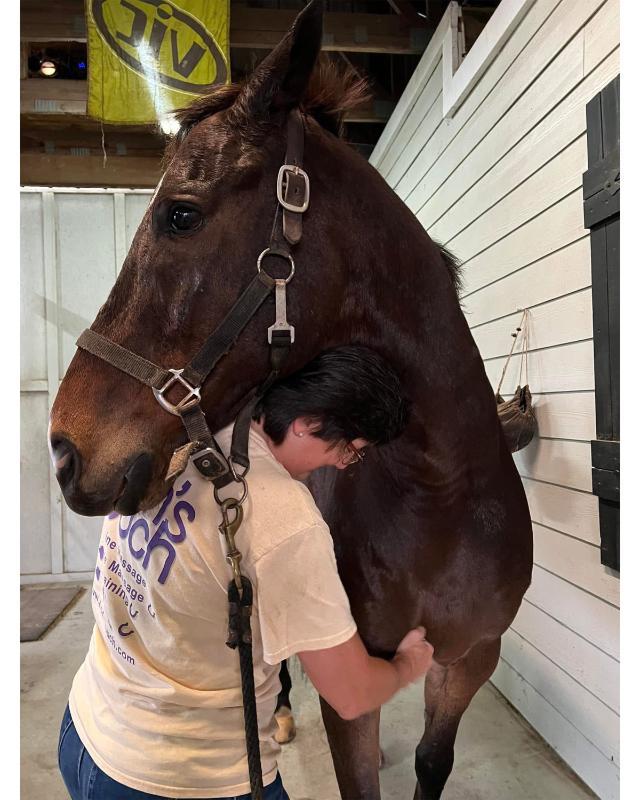 A woman in a Zion's Touch T-shirt is giving a massage to a brown horse inside a barn. She has her arms around the horse's shoulder and hind leg, applying pressure gently. The horse appears calm and relaxed, standing still with a soft expression.