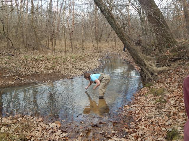 A student sampling a creek for microbes -