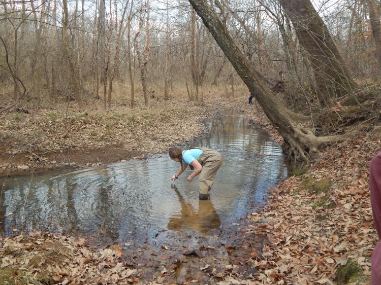 A student sampling a creek for microbes -