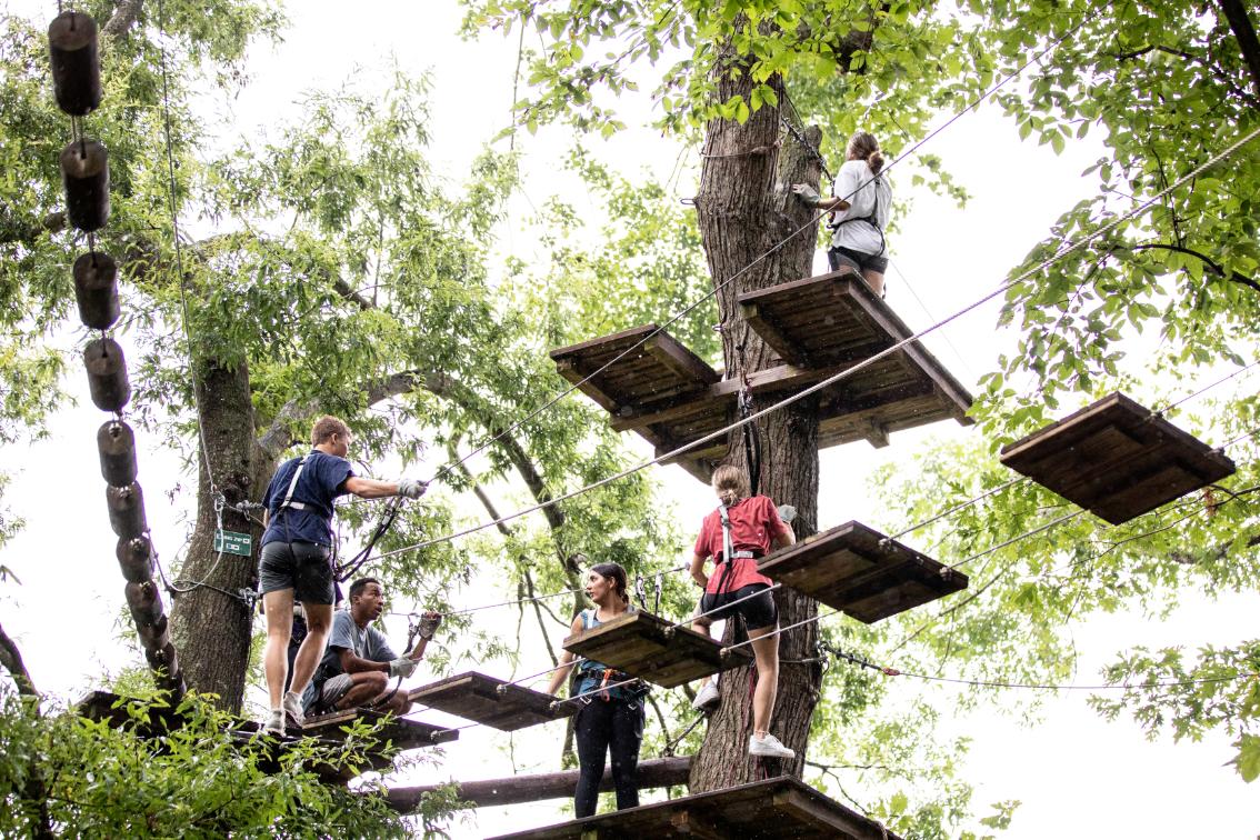 honors students climb the ropes course - Students wearing harnesses navigate a ropes course suspended among tall trees. Wooden platforms and cables connect the course elements high above the ground. The group works together, balancing and clipping into safety lines. Bright green leaves and dappled sunlight create a lively, adventurous atmosphere.
