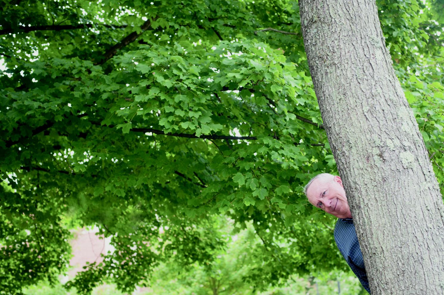 tree2