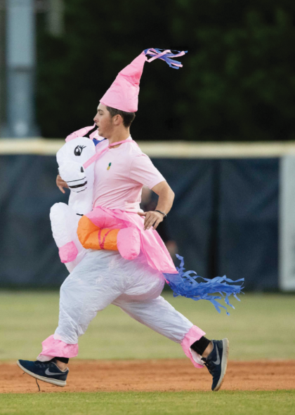 Unicorn costume