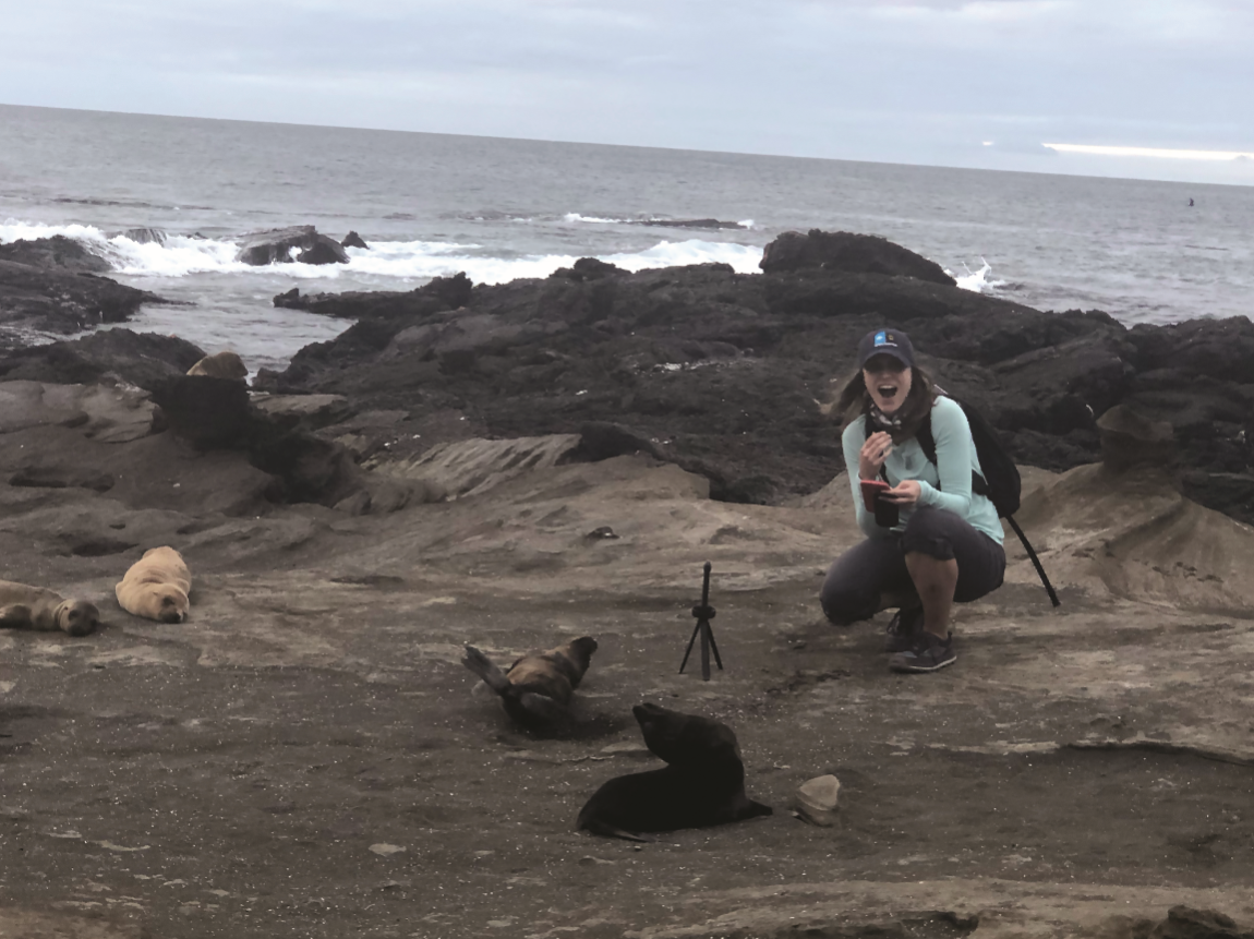 Schnekser observes a sea lion nursery in the Galápagos Islands, where mother sea lions leave their young while they hunt for food. ‘They actually came up to the camera to investigate and then lay on their backs like a puppy would, begging to be petted,’ she said of the pups. (Photo courtesy of  Samra Zeweldi)