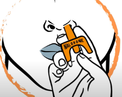 Illustrated image showing a hand holding a nasal spray device labeled 