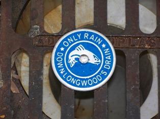 Storm drain marker with the text