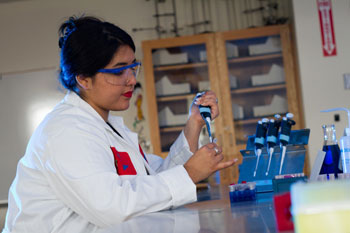 Heaven Cerritos is part of the inaugural group of students preparing for a summer of intense research at Longwood. Cerritos and 13 of her peers will participate in research on 11 STEM-based projects