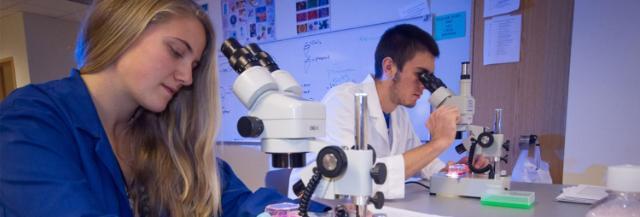 Major grant from National Science Foundation boosts science programs, provides scholarships