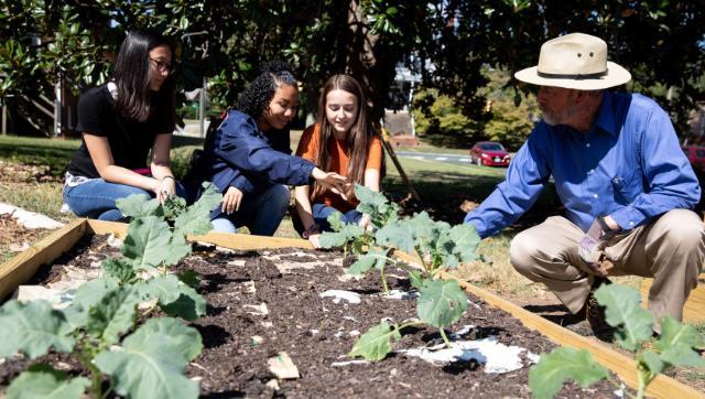 Dr. Michael Lund (right) checks the progress of the broccoli plants with Longwood students (left to right) Kelly Jarratt, Mali Cox and Rebecca Mills.