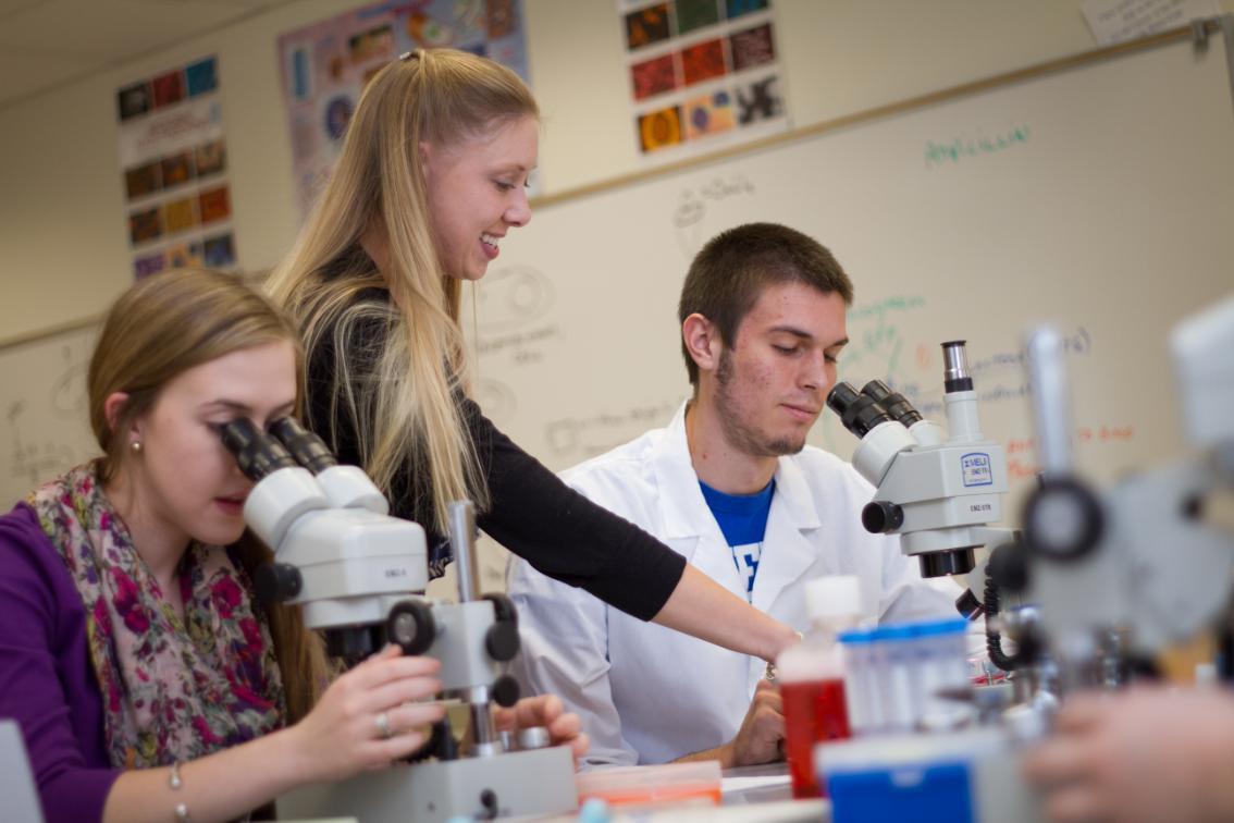Dr. Amorette Barber, associate professor of biology, working with students in the lab