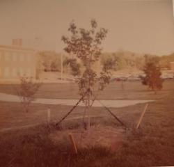 A Norton family photo from the memorial tree’s planting in April 1976.