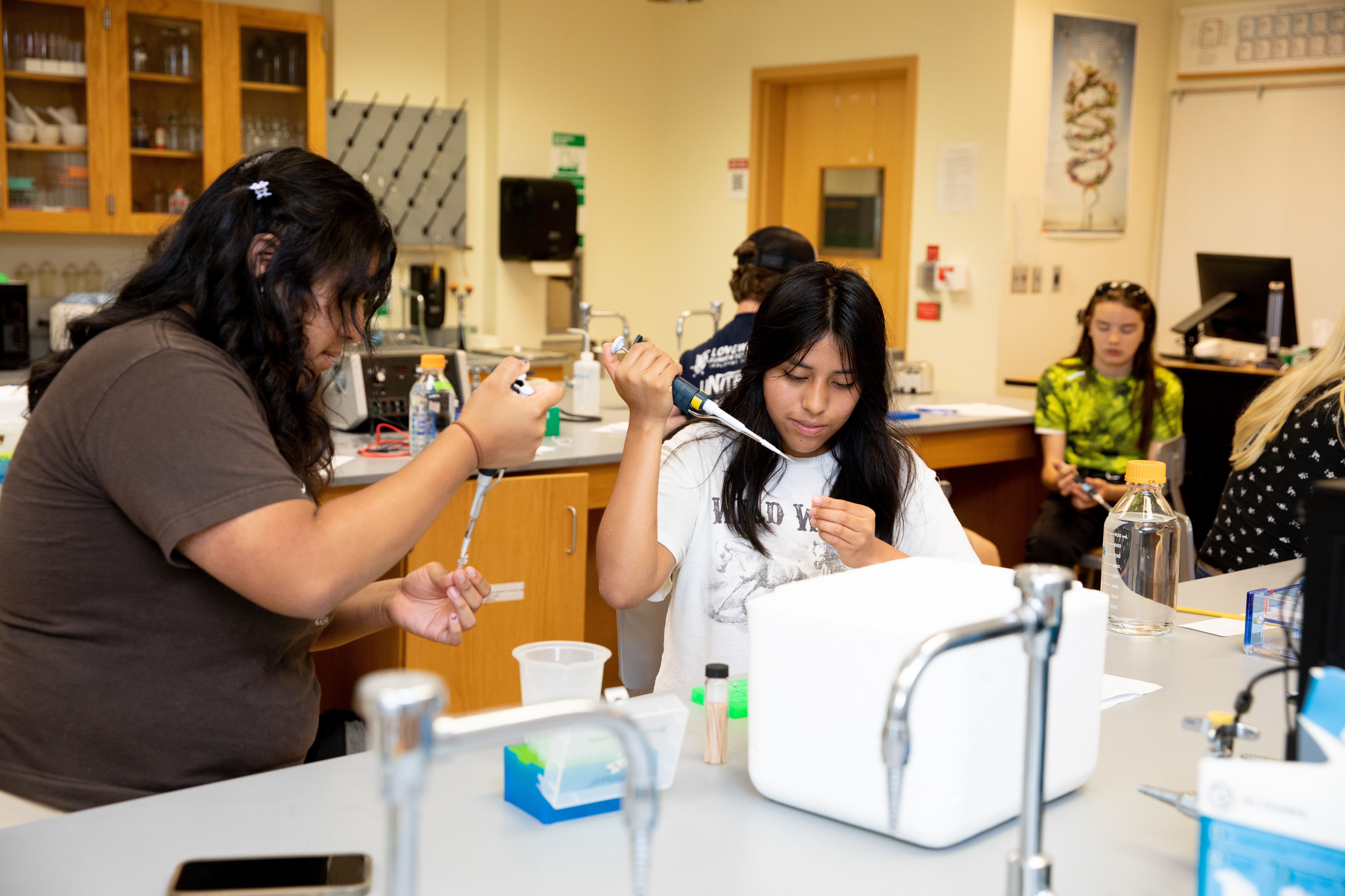 Summer Scholars participants working in the lab - Students conduct an experiment in a science laboratory classroom. Two students use pipettes to transfer liquid into small containers. Lab equipment, bottles, and sinks are visible on the countertops. Other students work at benches in the background.