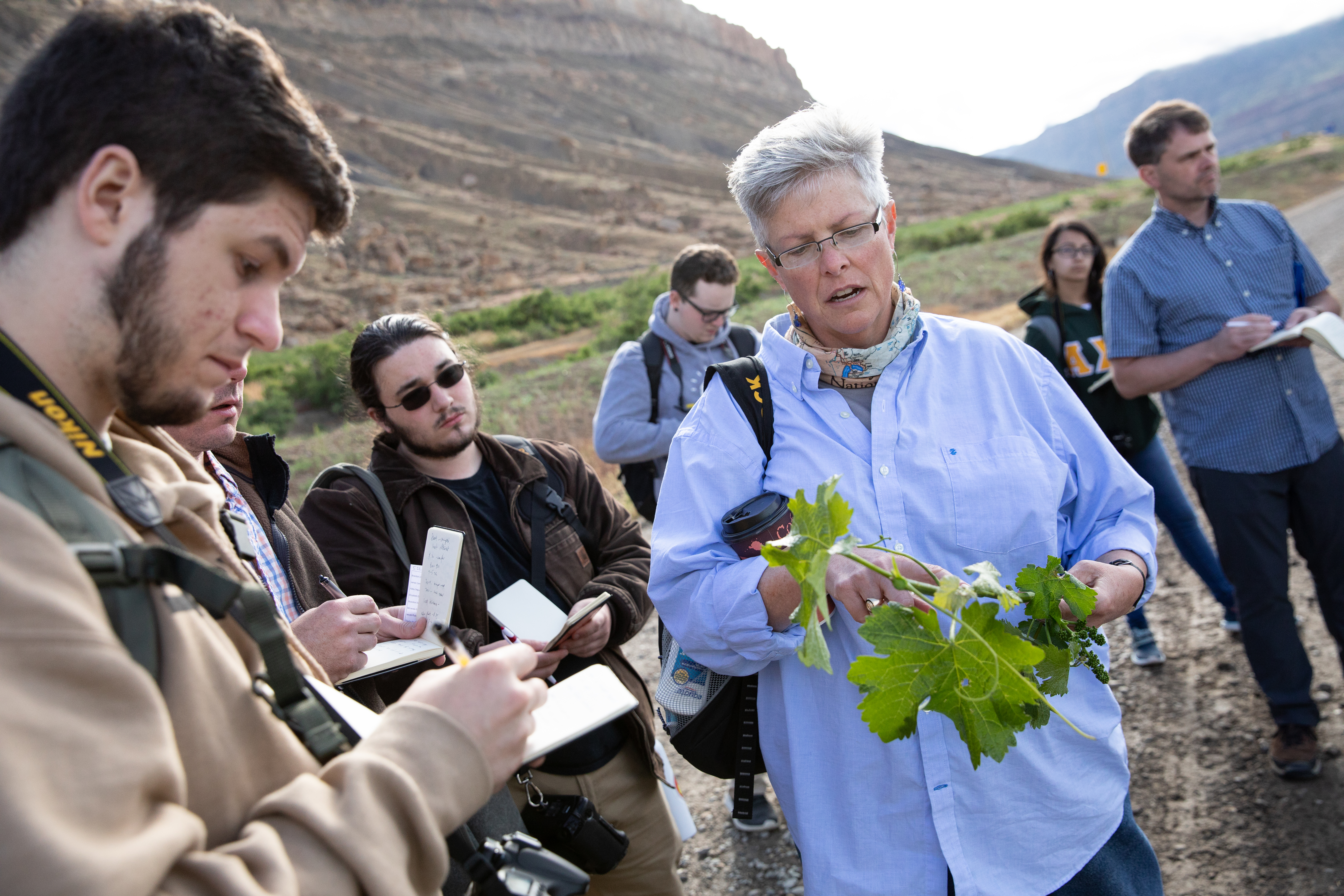 Dr. Heather Lettner-Rust and students discuss the water resources that allowed the Colorado River to provide water for a Palisade vineyard nearly 200 miles from the headwaters. - An instructor holds a leafy plant while speaking to students during a field study. Students take notes and carry cameras along a gravel roadside. Rocky hills and distant mountains frame the outdoor learning scene. Late-da