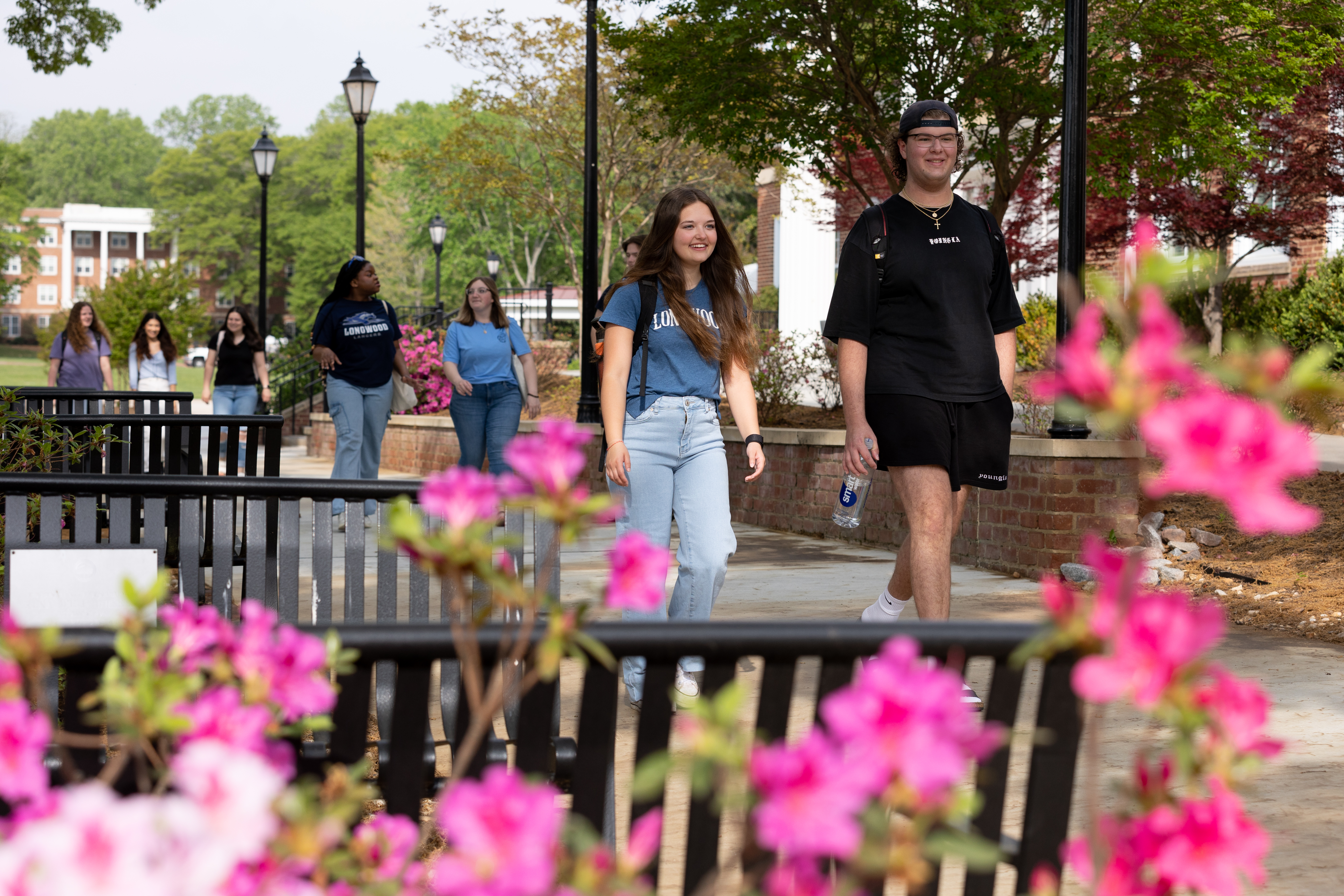 Students walking in front of Maugans during class change - Students walk along a campus sidewalk on a spring day. Two students in Longwood shirts walk side by side in the foreground. Pink flowers and a black bench frame the scene in the front of the photo. Other students follow behind near lampposts, trees, and brick planters.