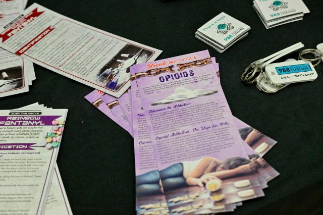 A purple brochure detailing the effects of opioid use and abuse adorns a table, scattered amongst other drug educational materials