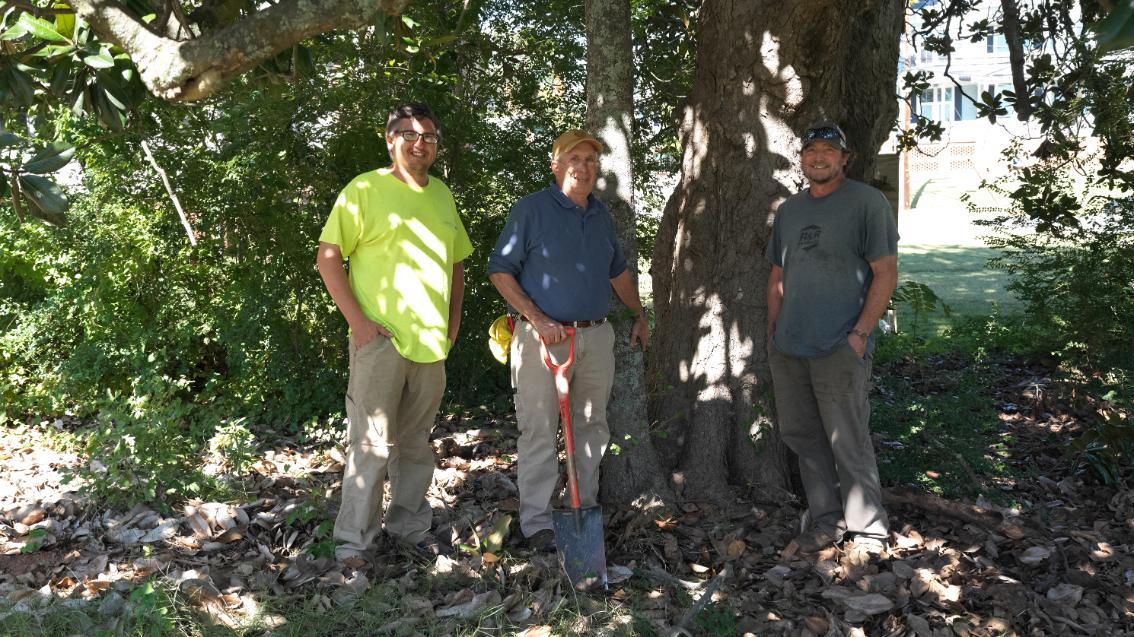 Longwood landscaping professionals Zack Faircloth (left), Dave Love (middle) and Shaun Terry pictured with Farmville’s historic White House magnolia tree.