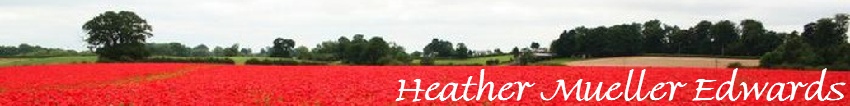 Heather Mueller Edwards website banner