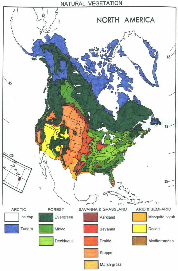 Vegetation Map For North America Geography Map America Map Physical ...